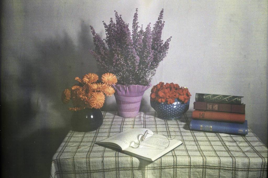 Hausamann, Stilleben mit Blumen und Büchern, ca. 1907